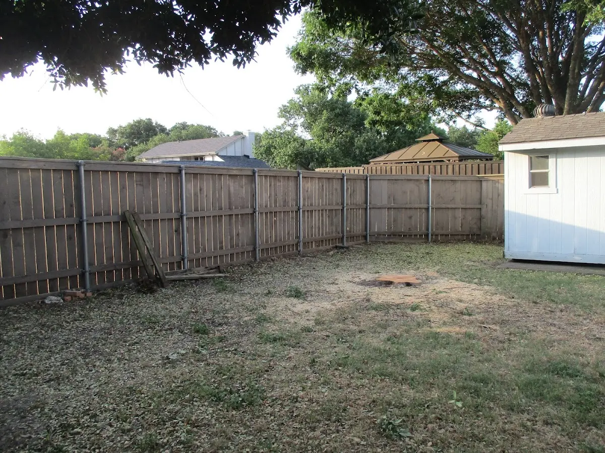 Cleared yard after professional tree removal in Cassville